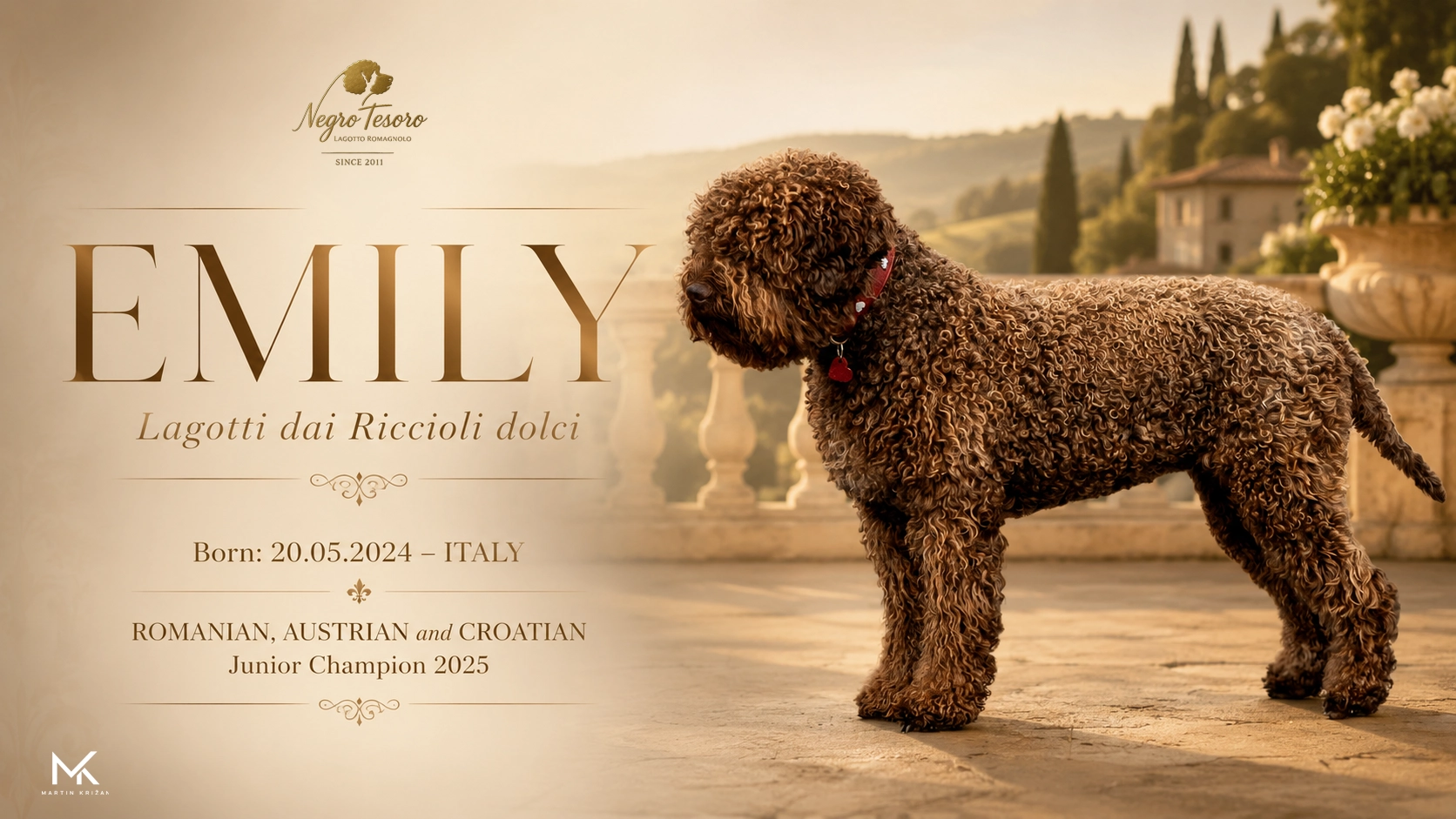 Plagát dospelej feny Lagotto Romagnolo Emily z Negro Tesoro s talianskou atmosférou | adult Lagotto Romagnolo dog poster
