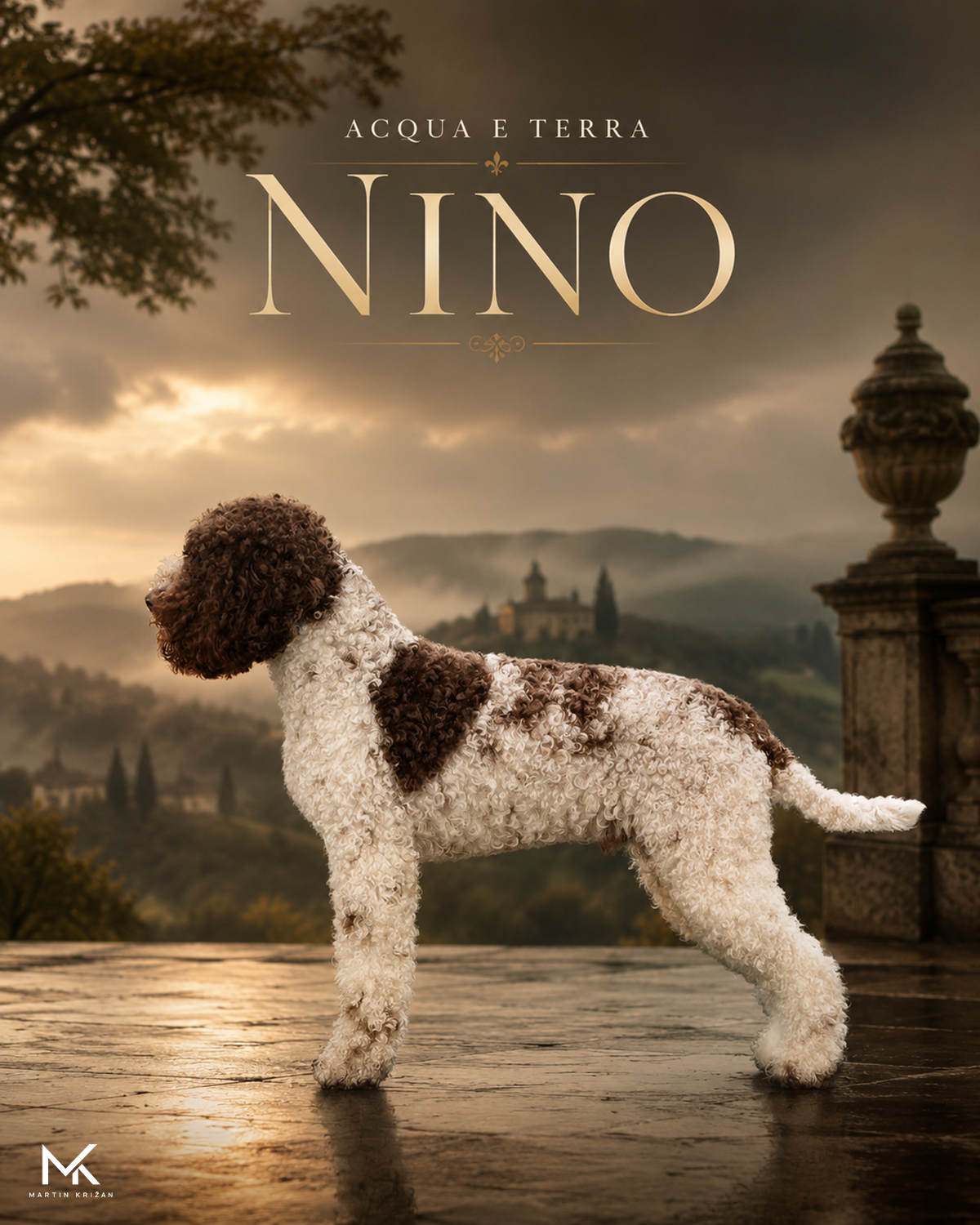 Plagát dospelého psa Lagotto Romagnolo Acqua e Terra Nino v tmavom talianskom vizuále | adult Lagotto Romagnolo dog poster