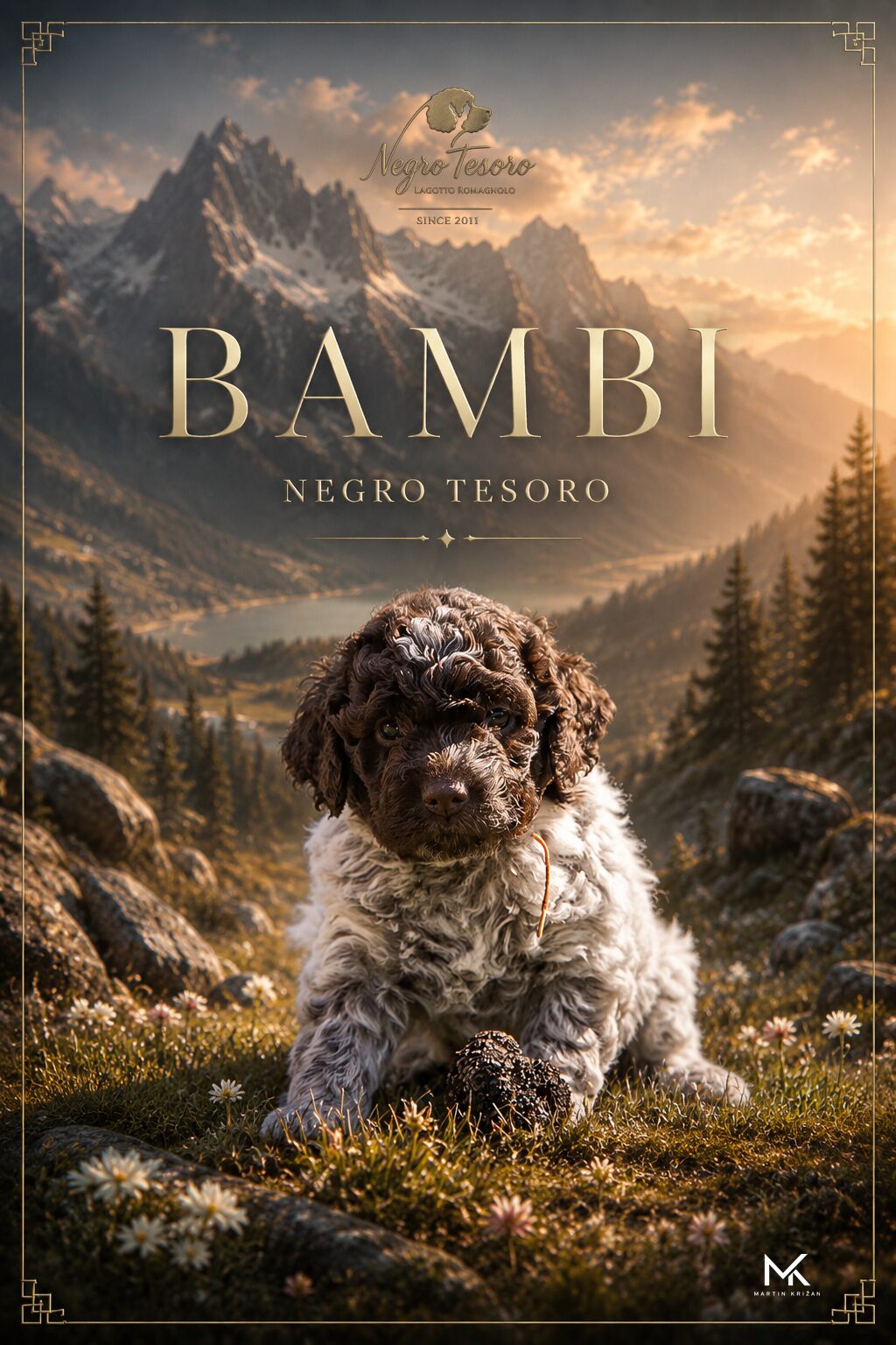 Bambi Negro Tesoro, young brown roan Lagotto Romagnolo puppy from Litter B