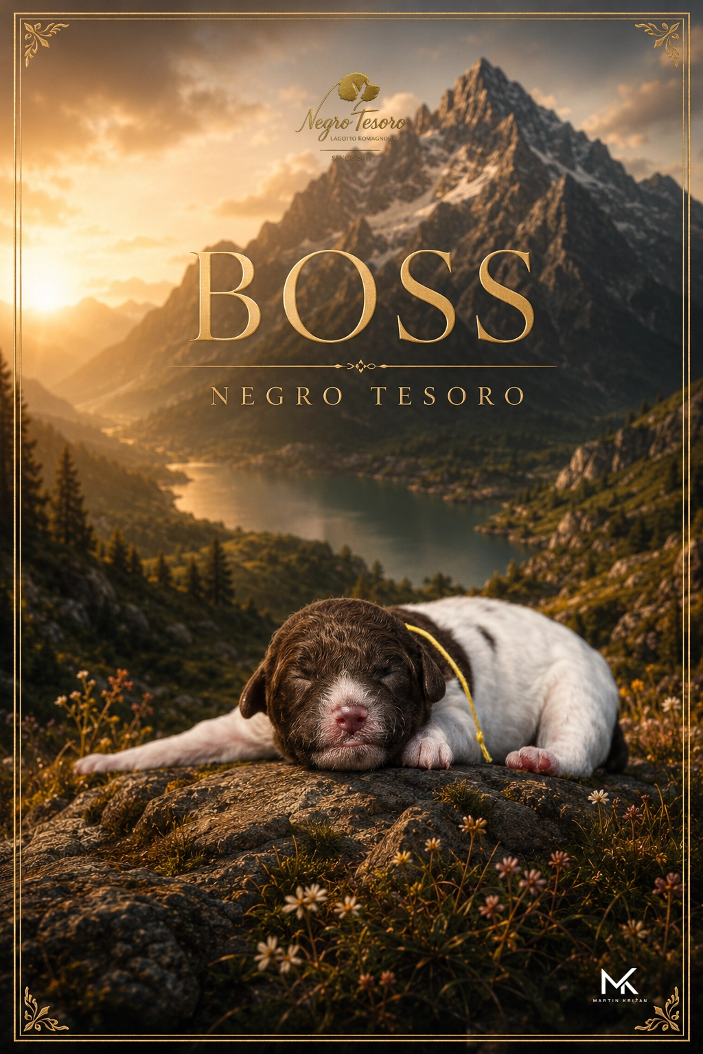 Boss Negro Tesoro, newborn white and brown Lagotto Romagnolo puppy from Litter B lying with its eyes closed