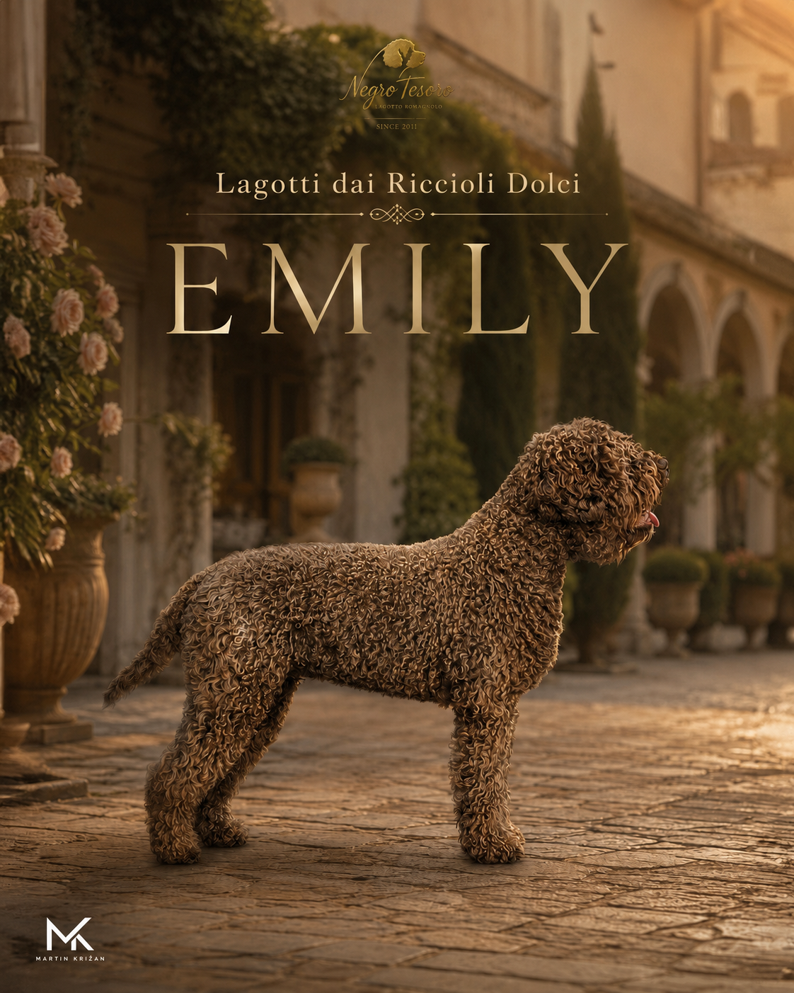 Plagát dospelej hnedej feny Lagotto Romagnolo Emily z Negro Tesoro v talianskom prostredí | adult Lagotto Romagnolo dog poster