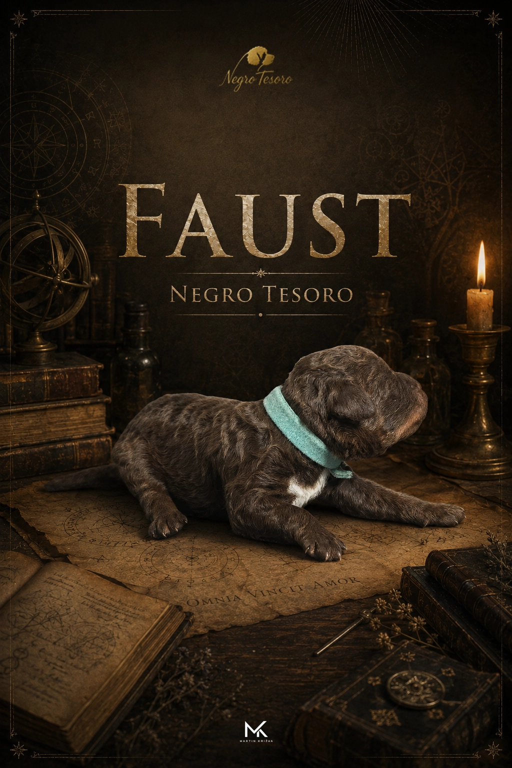 faust-negro-tesoro-vrh-f Die einen Tag alte Lagotto-Romagnolo-Hündin Elba Negro Tesoro aus dem E-Wurf