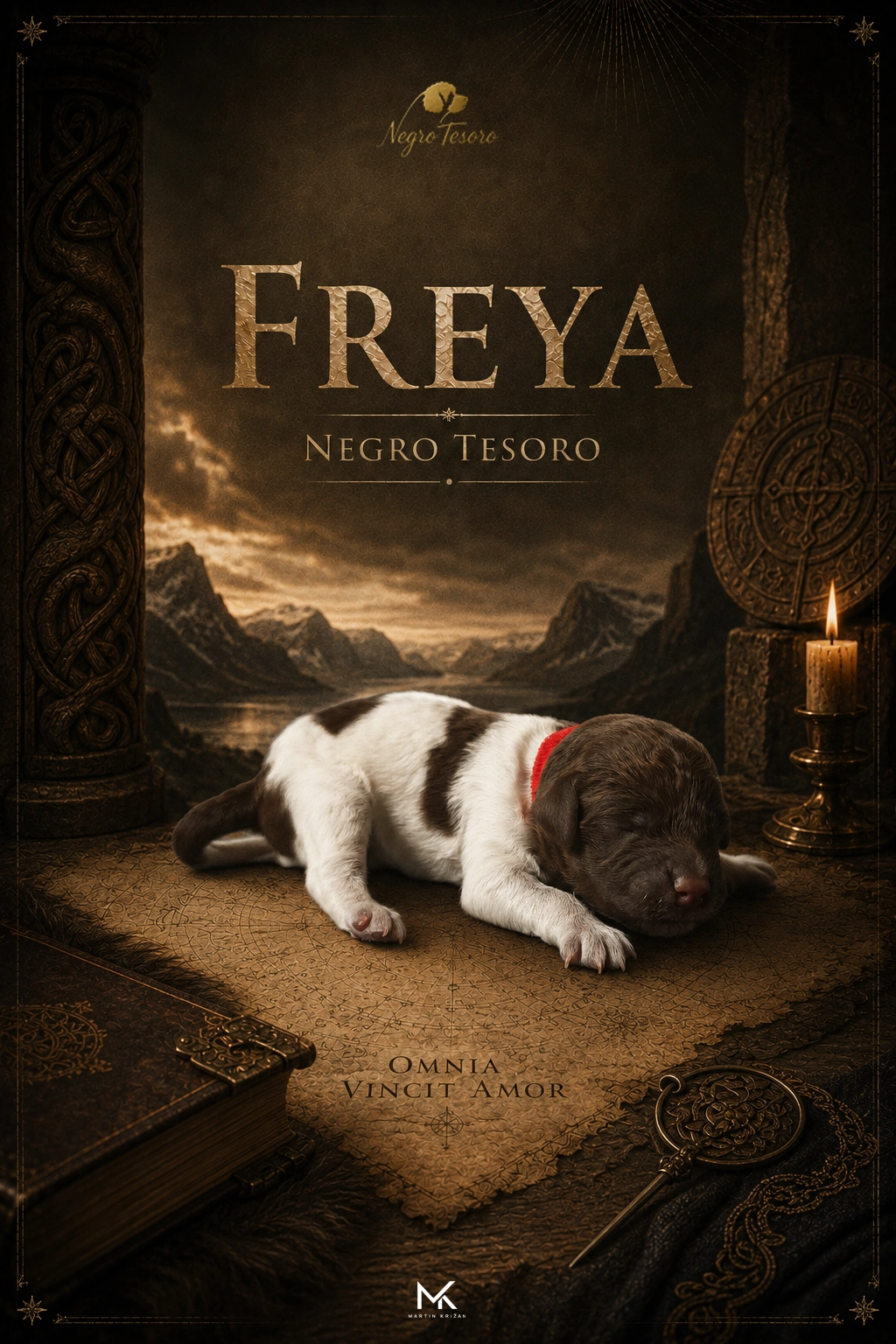 freya-negro-tesoro-vrh-f Die einen Tag alte Lagotto-Romagnolo-Hündin Etna Negro Tesoro aus dem E-Wurf